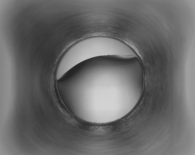 X0000111620297200907241035