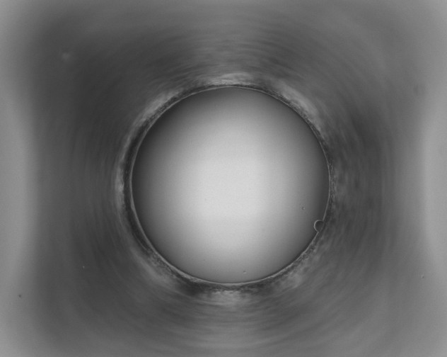 X0000111620298200907241035