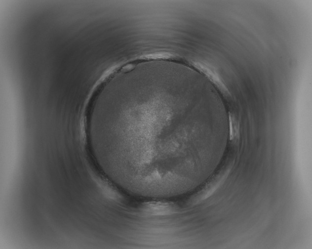 X0000111620300200907241035