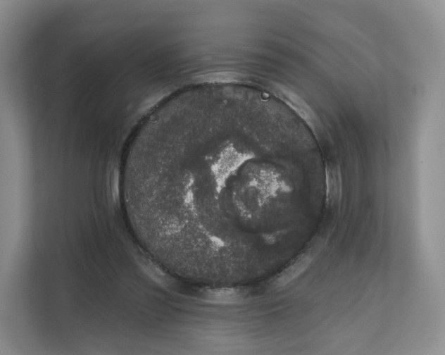 X0000111620301200907241035