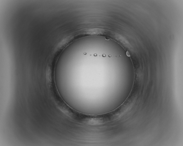 X0000111620303200907241035