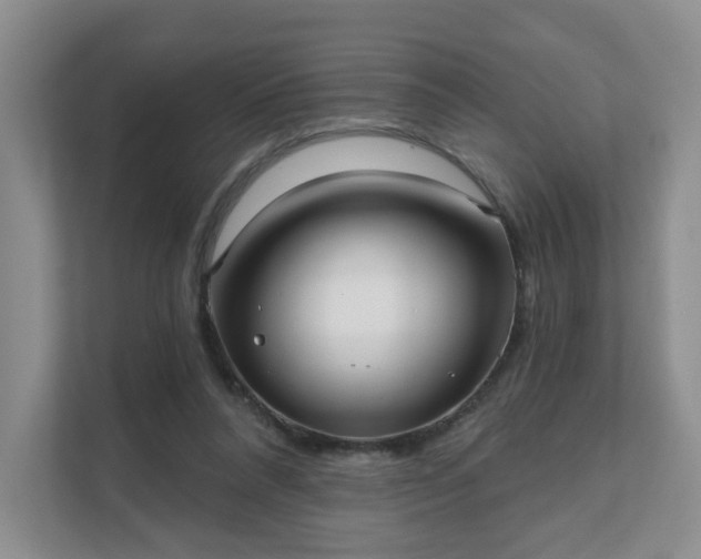 X0000111620304200907241035