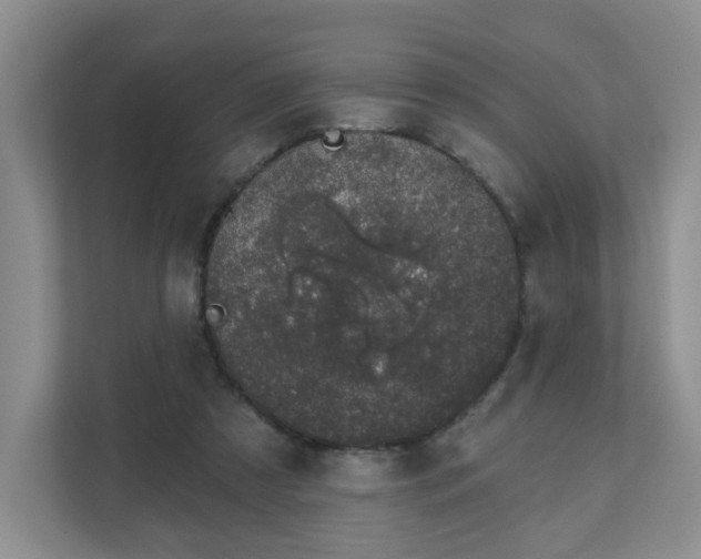 X0000111620305200907241035