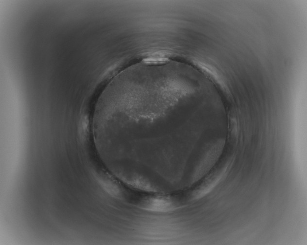 X0000111620308200907241035