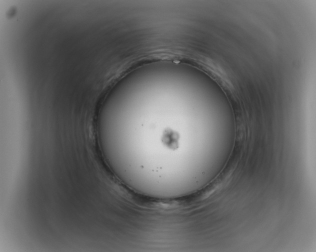 X0000111620317200907241035