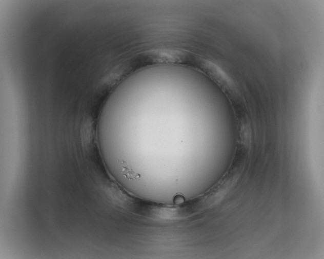 X0000111620318200907241035