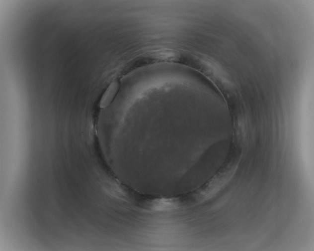 X0000111620320200907241035