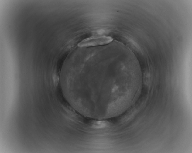 X0000111620324200907241035