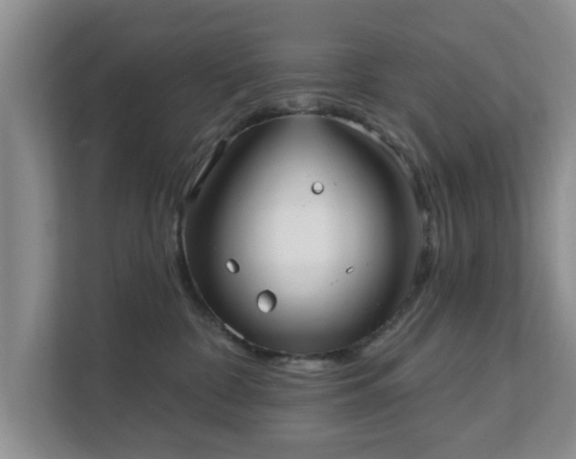 X0000111620332200907241035