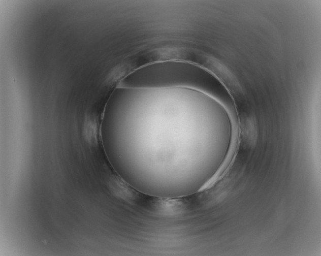 X0000111620333200907241035