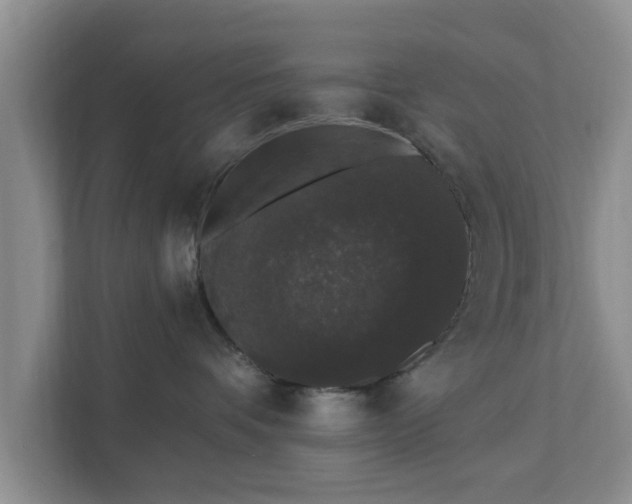 X0000111620336200907241035