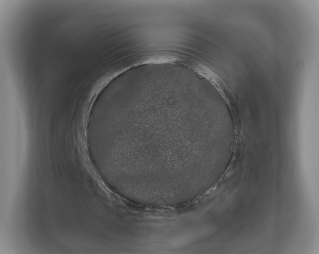 X0000111620337200907241034