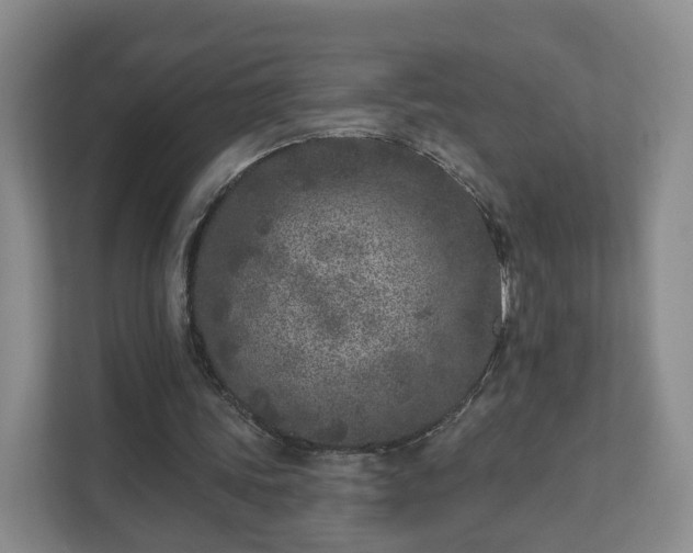 X0000111620339200907241034