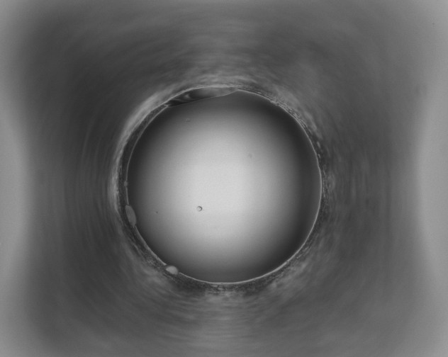 X0000111620340200907241034