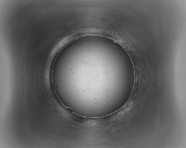 X0000111620341200907241034