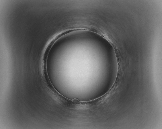 X0000111620342200907241034