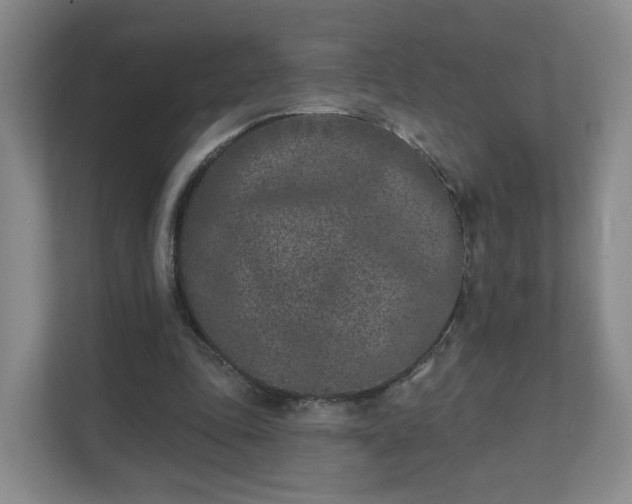 X0000111620343200907241034