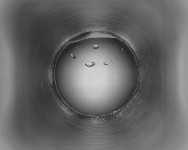 X0000111620345200907241034