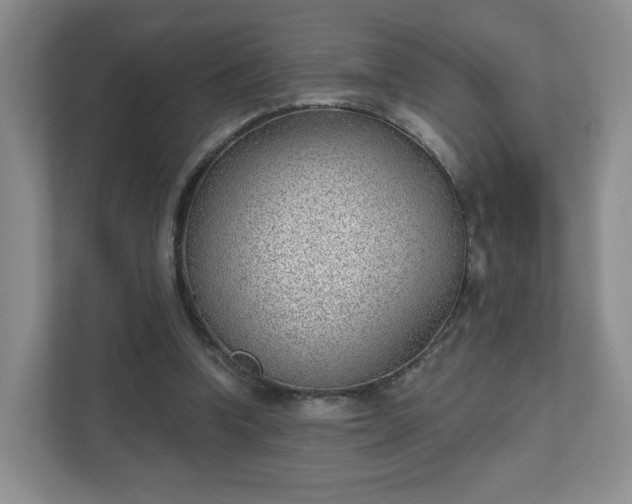 X0000111620346200907241034