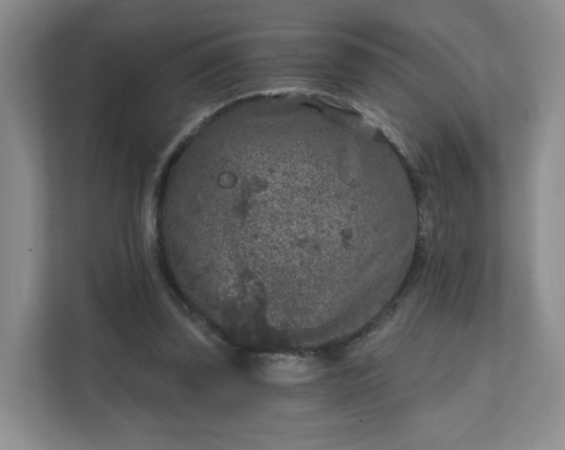 X0000111620347200907241034