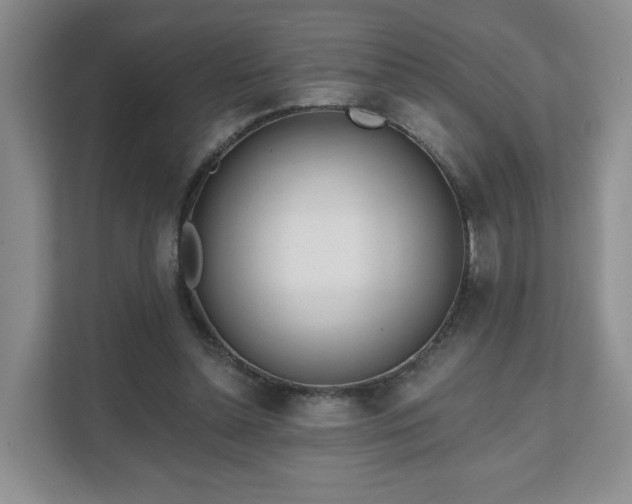 X0000111620348200907241034