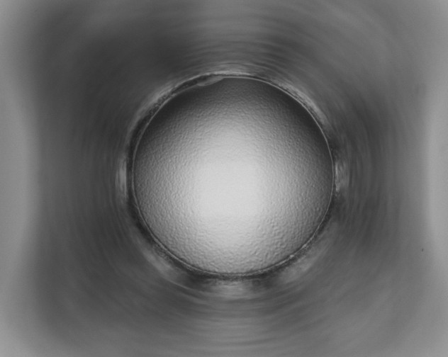 X0000111620349200907241034