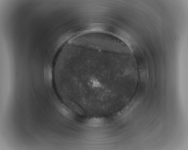 X0000111620350200907241034