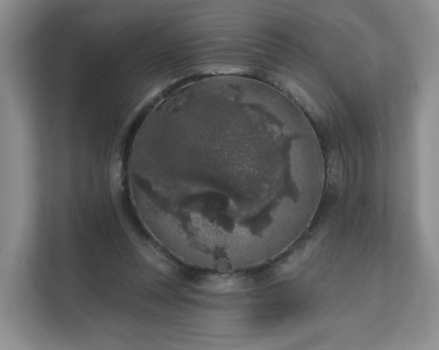 X0000111620351200907241034
