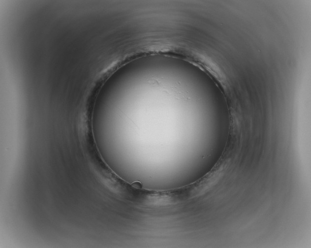 X0000111620354200907241034
