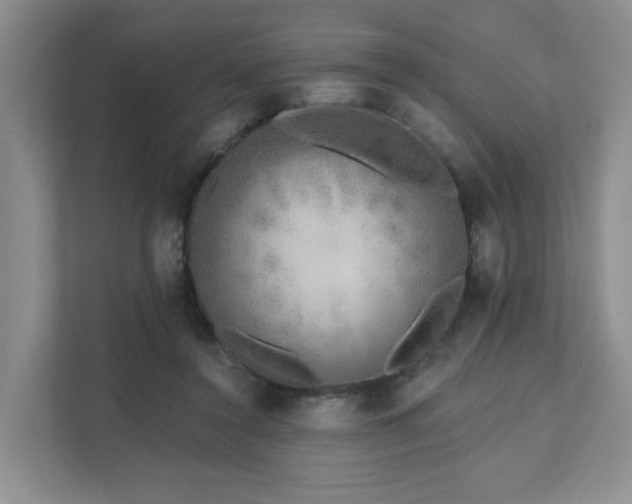X0000111620356200907241034