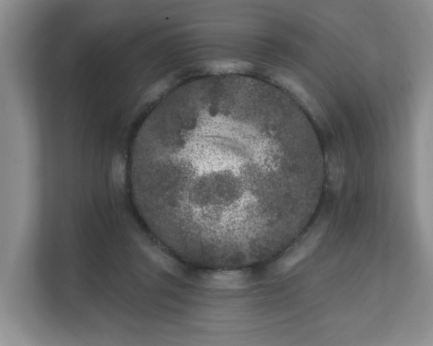 X0000111620357200907241035