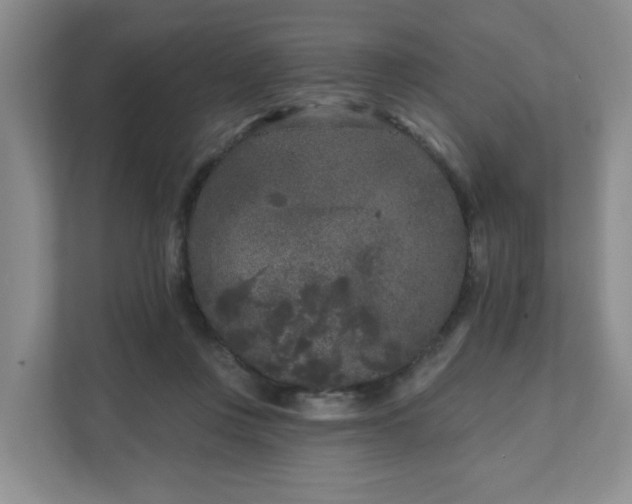 X0000111620359200907241035