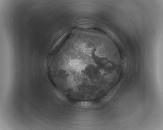 X0000111620361200907241035