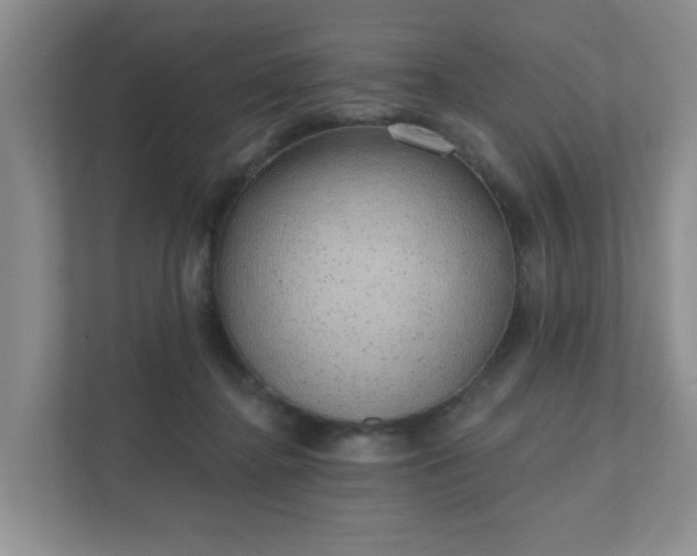 X0000111620364200907241035