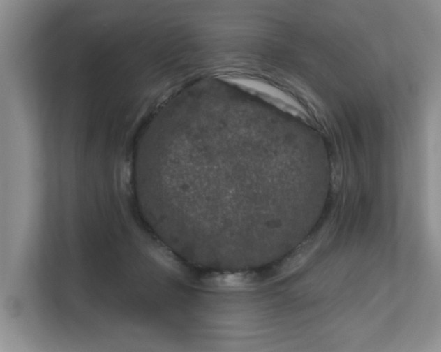 X0000111620365200907241035