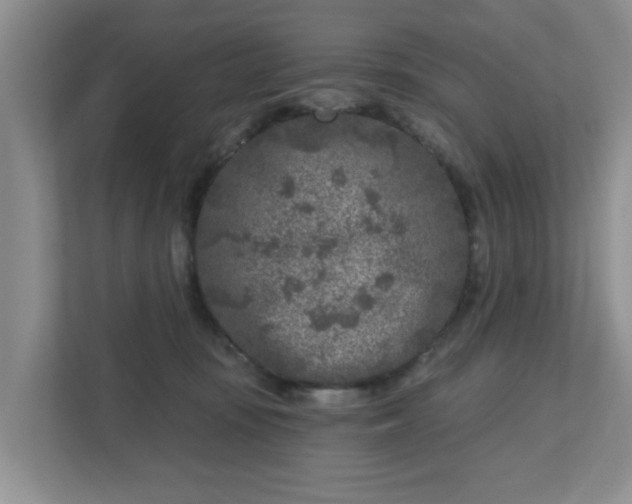 X0000111620371200907241035