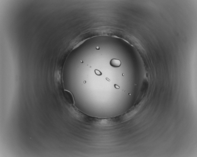 X0000111620382200907241035