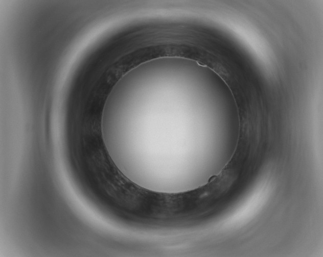 X0000111620383200907241035