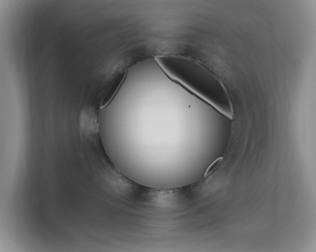 X0000111620384200907241035