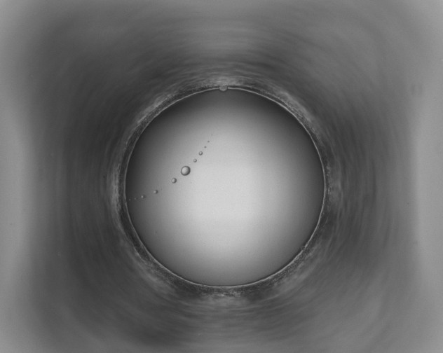 X0000111620386200907241034