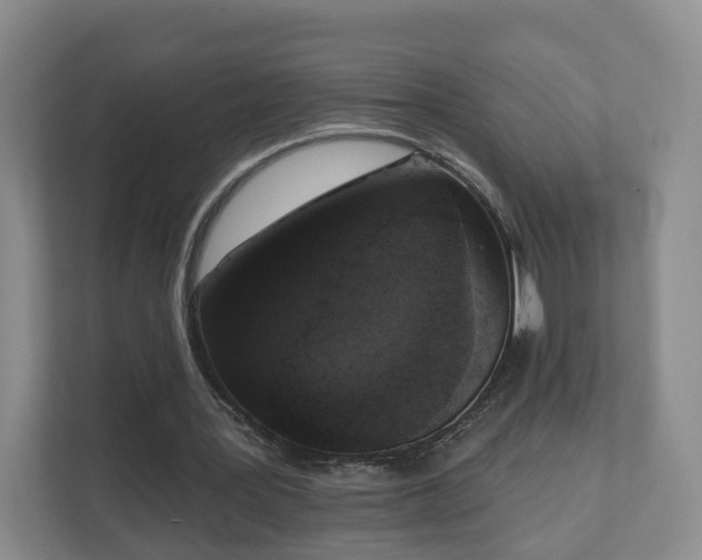 X0000111620387200907241034