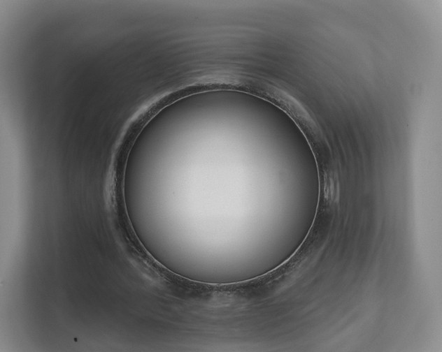 X0000111620388200907241034