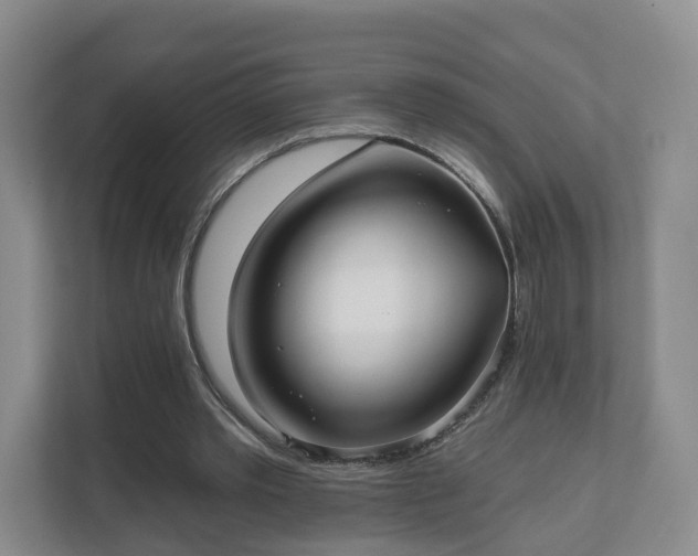 X0000111620389200907241034