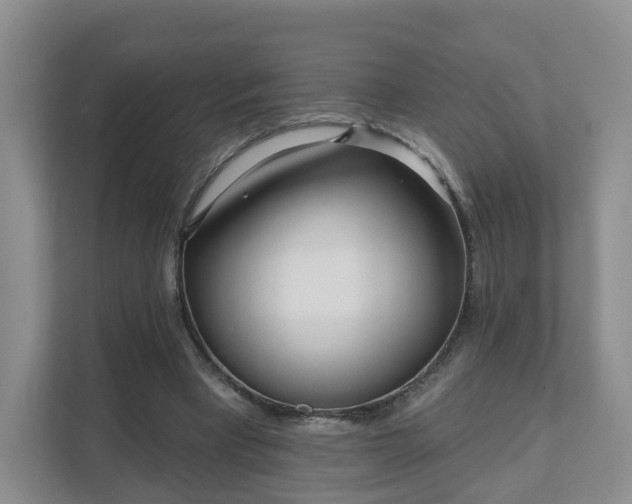 X0000111620393200907241034