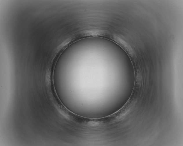 X0000111620394200907241034
