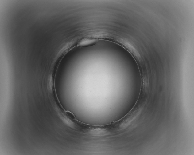 X0000111620397200907241034