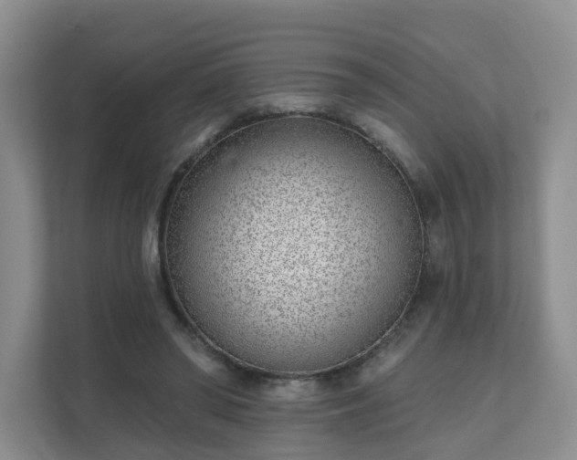 X0000111620398200907241034