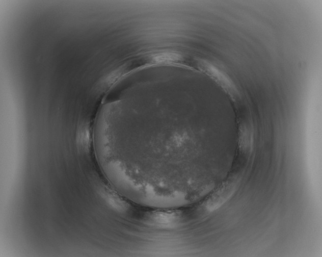 X0000111620405200907241034