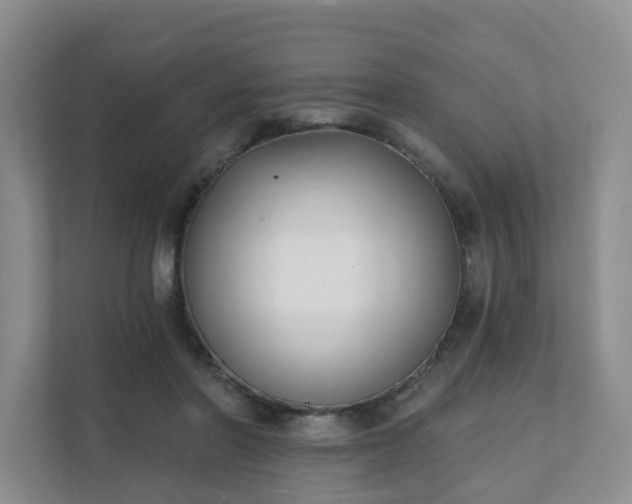 X0000111620406200907241034