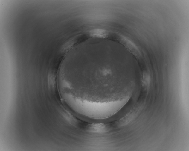 X0000111620409200907241034